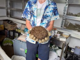 514032991_1288061613321558_7662848527352913369_n